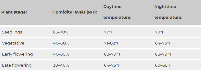 Screenshot 2024 02 02 214017