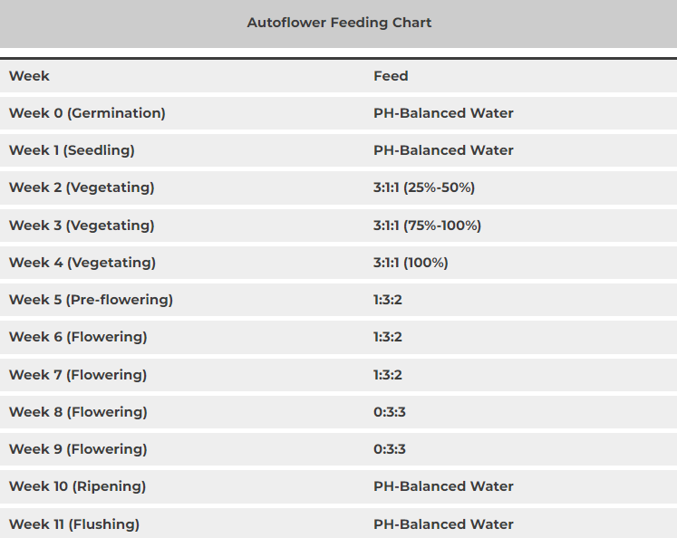 Screenshot 2024 02 19 210724