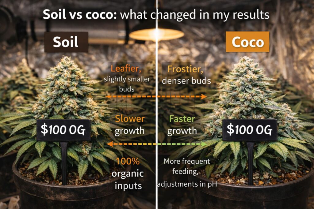 Soil vs coco 1