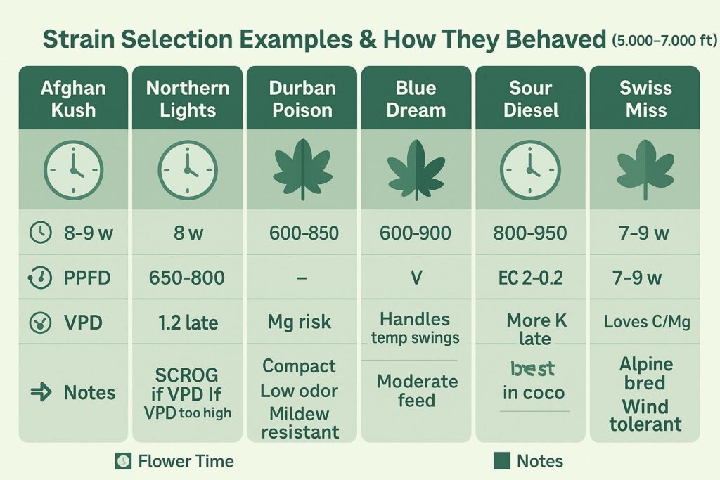 indica sativa hybrid