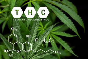 THC 2