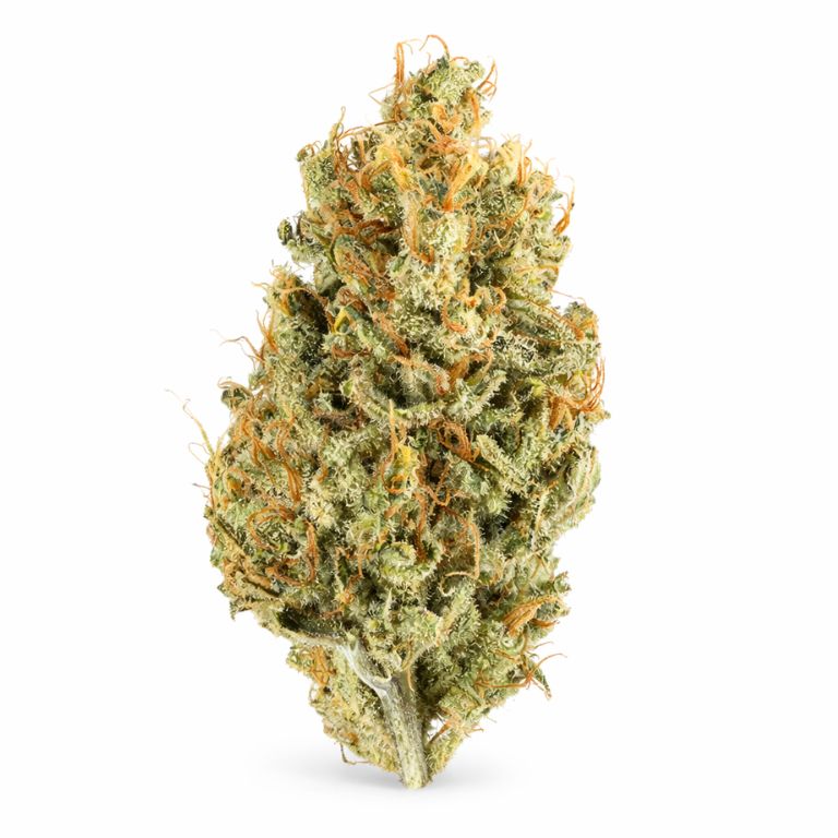 Tembo Kush Cannabis Bud