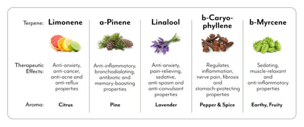 Terpene Table 1
