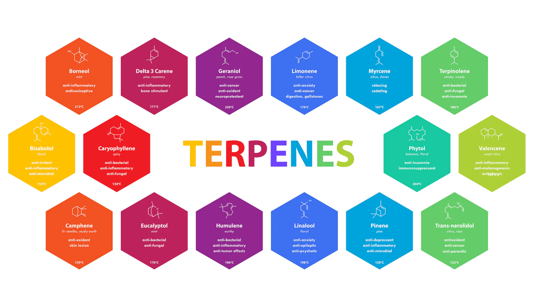 Terpenes Cover