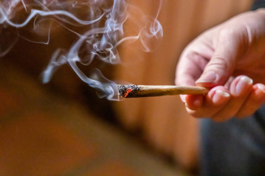 The Advantages of Indoor Cannabis Cultivation in Mecklenburg Western