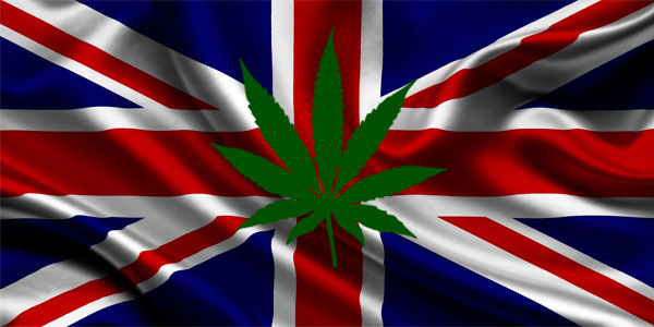 The Environmental Benefits of Growing Cannabis Seeds in England