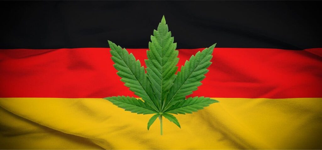 The Environmental Benefits of Growing Cannabis Seeds in Germany