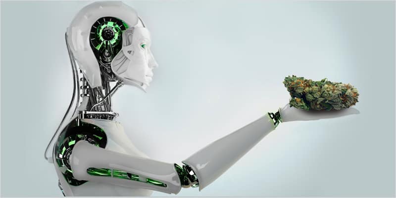 The Future of Medical Cannabis