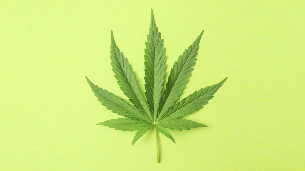 The Role of Hybrid Strains