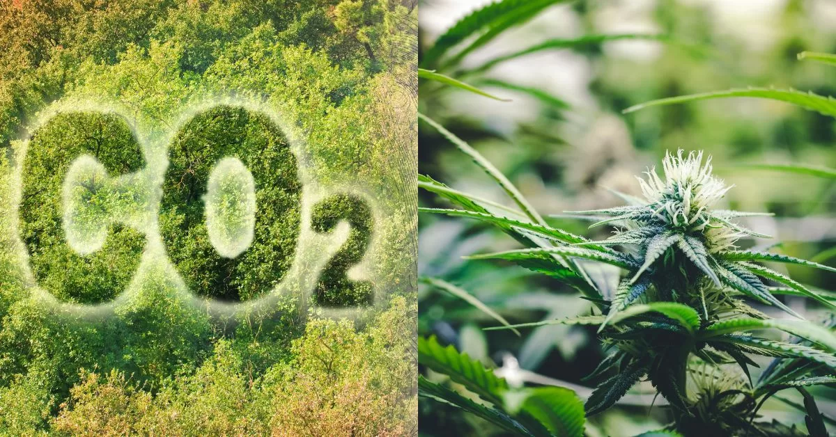 The science behind CO2 and plant growth jpg