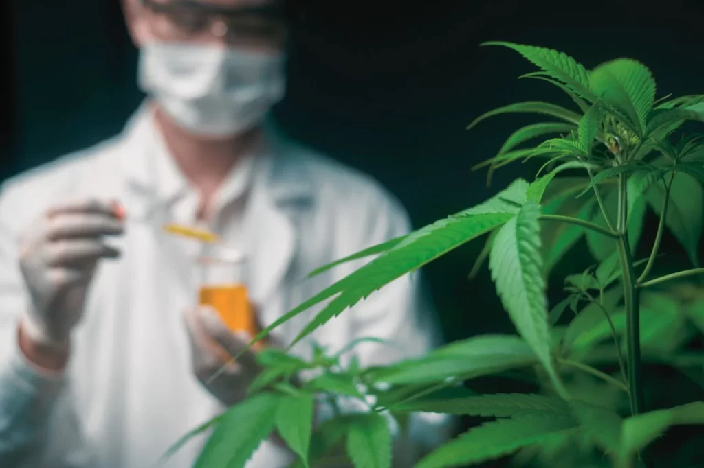 The Future of Cannabis Science and Technology