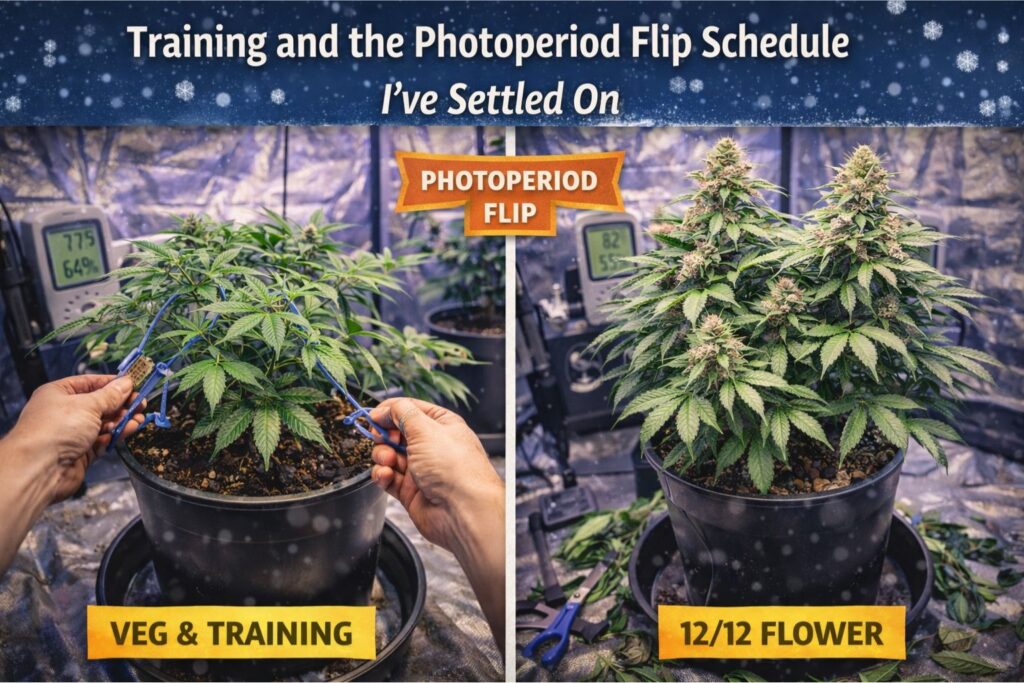 photoperiod flip schedule