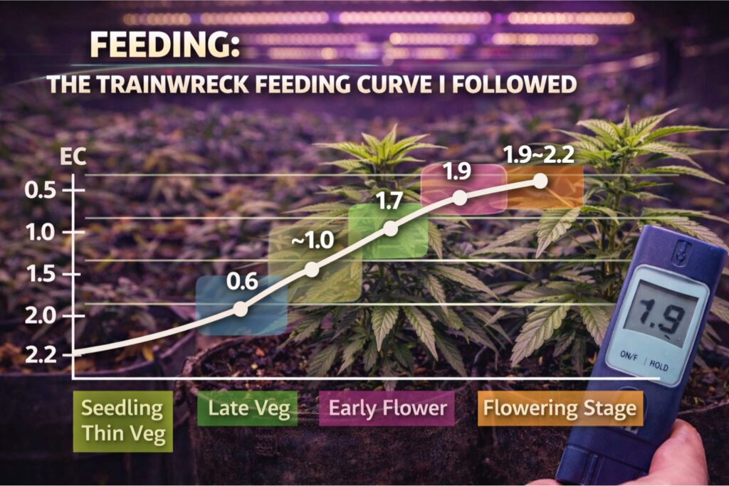Trainwreck feeding curve
