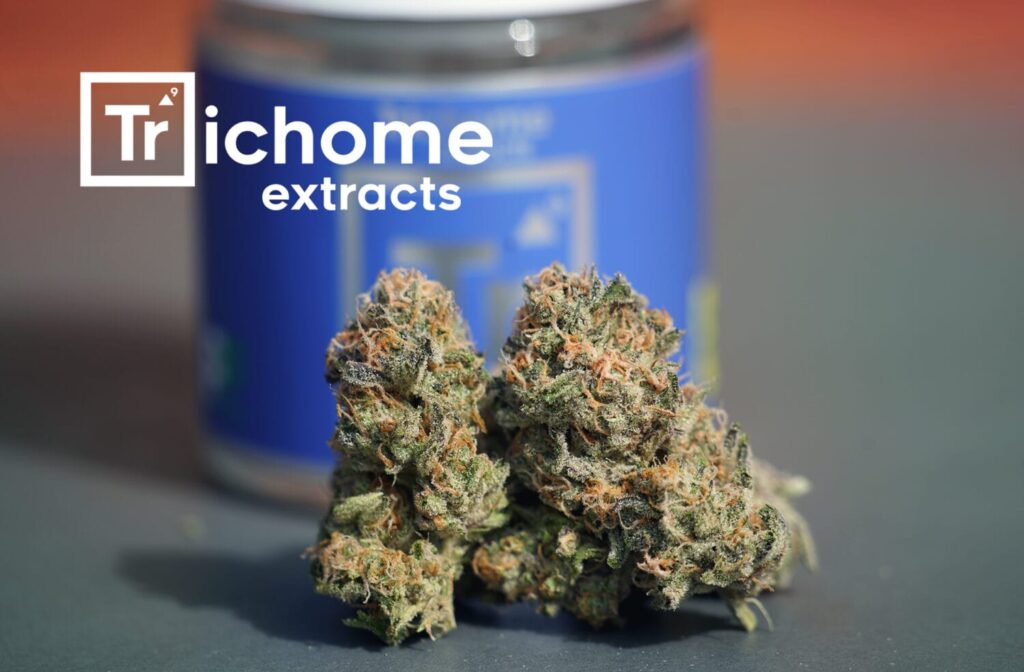 Trichome watermelon Zkittlez 7