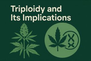 Triploidy Implications