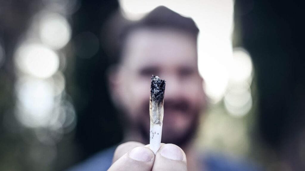 Understanding Cannabis Use Across Generations in Deer Lake