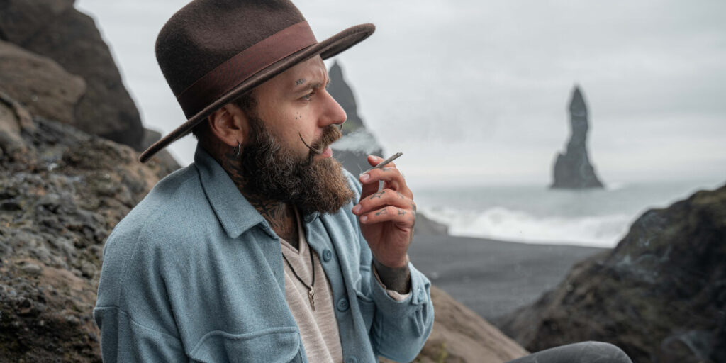 Understanding the Ruderalis High