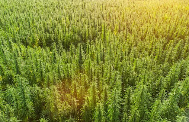 Watching from the Sky