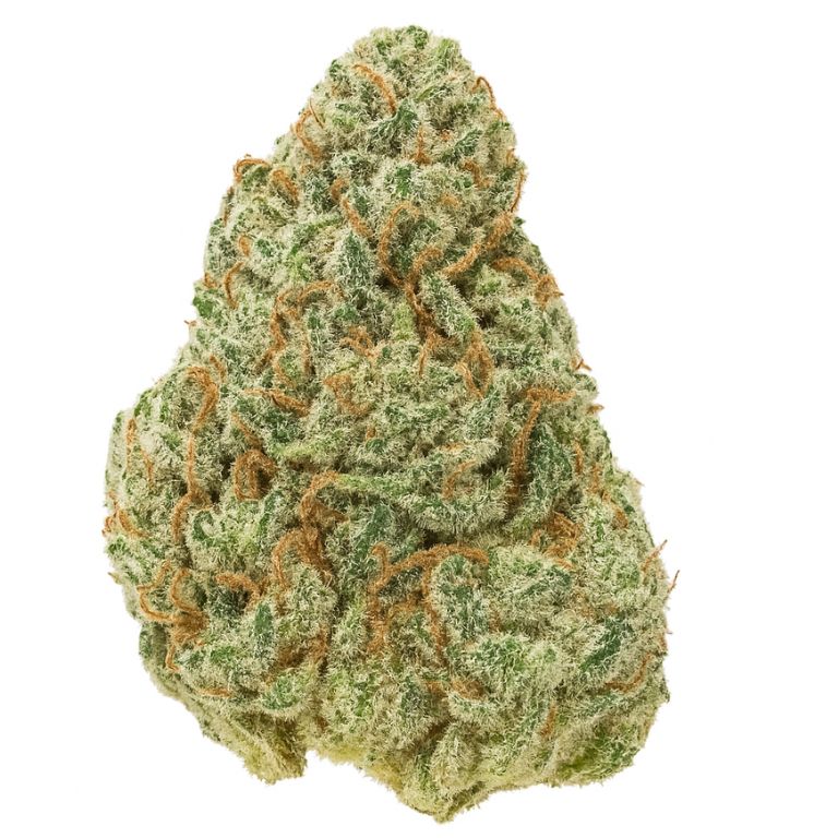 Watermelon Bubblegum Cannabis Bud