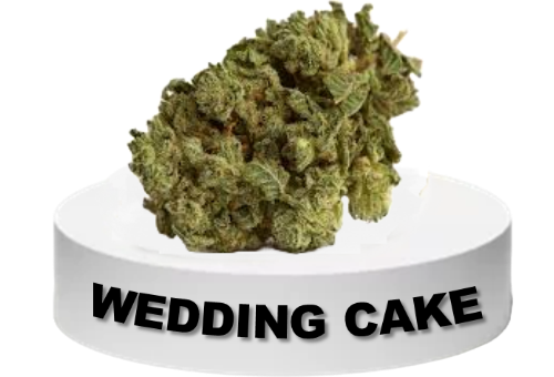 Wedding Cake Flower