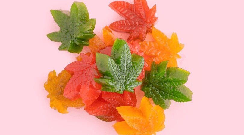 Where to Conceal My Edible Collection