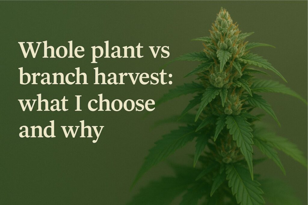 seed-to-shelf harvest plan