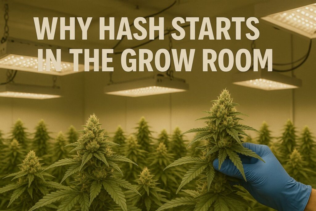 how to make hash