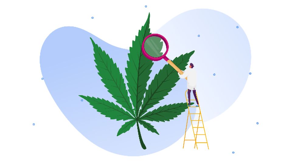 a guide to cannabis testing methods 312930 960x540 1