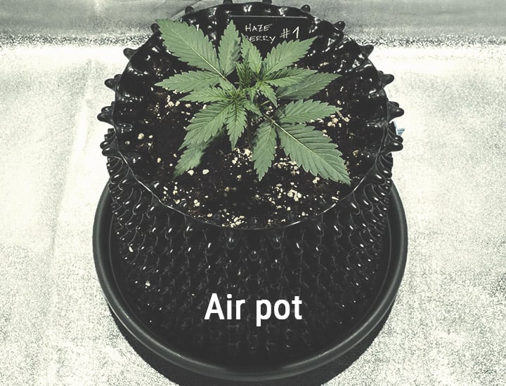 air pot 1