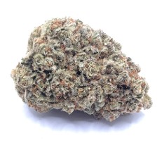 apple betty appearance