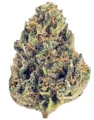 award winning cannabis seeds you can buy in 2025 g