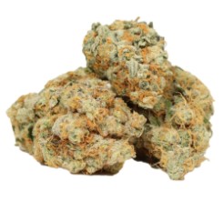 award winning cannabis seeds you can buy in 2025 m