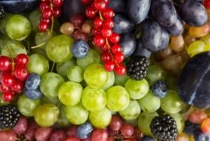 Grape Drink strain flavor notes