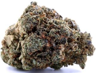 best american bred cannabis seeds in 2025 f