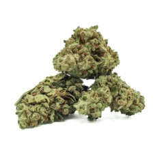 Best Cannabis Seeds for High THC Levels