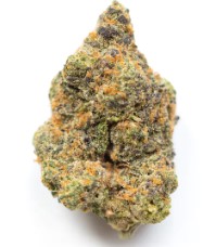 best cannabis seeds for high thc levels c