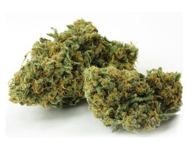 best cannabis seeds to grow in california e