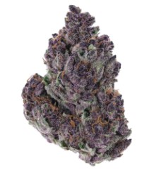 best cannabis seeds to grow in california f