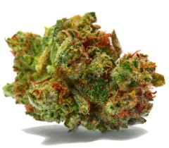 best cannabis seeds to grow in california h