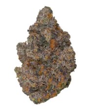 best cannabis seeds to grow in california j