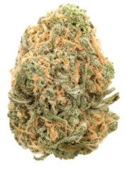 best cannabis seeds to grow on a budget e