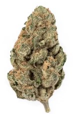 best indoor cannabis seeds for dense buds d