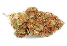 best indoor cannabis seeds for dense buds f