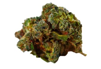 best sativa for creative energy e