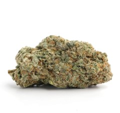 best sativa for creative energy f