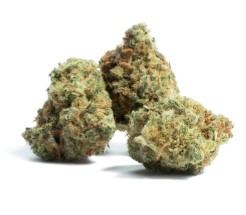 best sativa for creative energy g