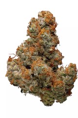 best sativa for creative energy i