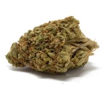 best tasting cannabis strains from seed b