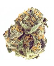 best tasting cannabis strains from seed m
