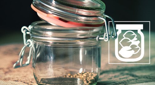 buy marijuana seeds storage